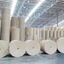 Giấy cuộn lớn 2