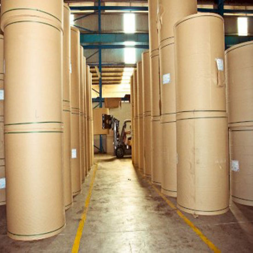 Giấy rập vi tính