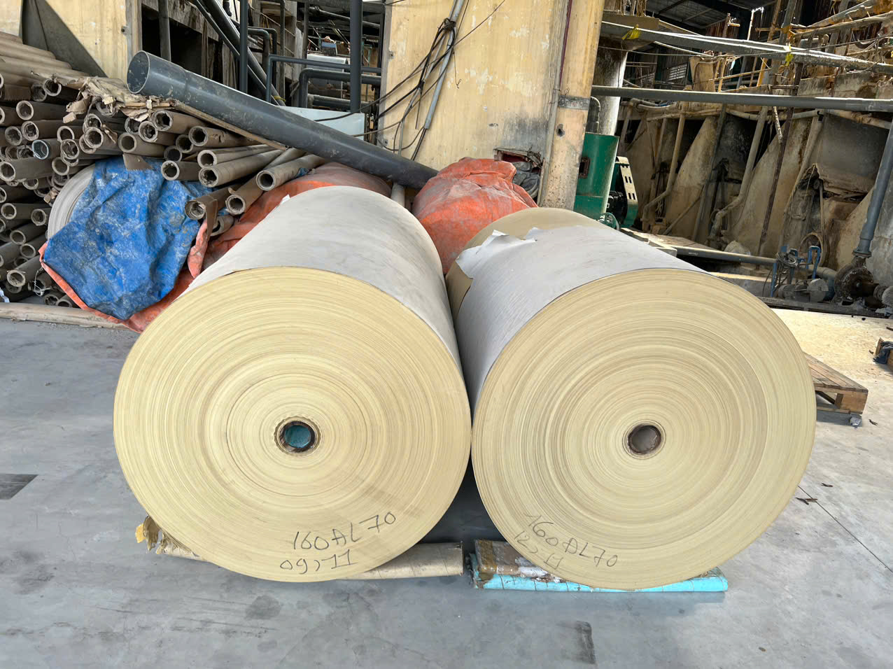 Giấy Tiên Ân – Giải pháp hoàn hảo cho in ấn quảng cáo